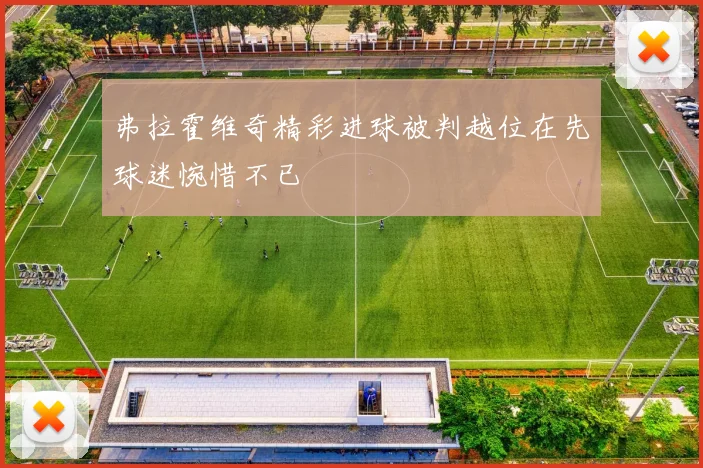 弗拉霍维奇精彩进球被判越位在先球迷惋惜不已